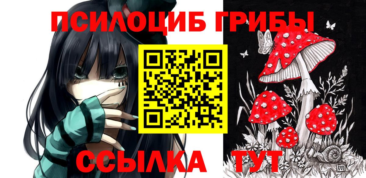 купить закладку  Вход с VPN  Карасук  Псилоцибиновые грибы Magic Shrooms 